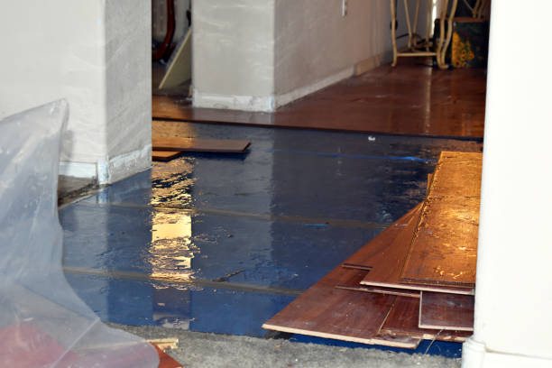Professional Sewage Cleanup technician working in Rock Island, TX